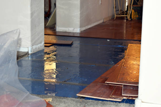 Professional Sewage Cleanup technician working in Purling, NY